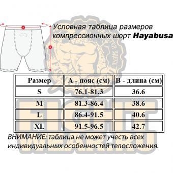 Шорты Hayabusa hayshorts055, фото 3