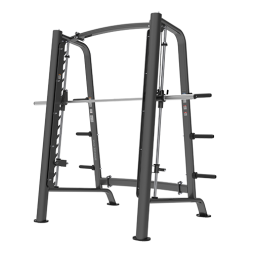 BRONZE GYM PL-1721 Машина Смита BRONZE GYM PL-1721 Машина Смита