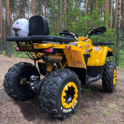 Квадроцикл MOTOLAND 200 Wild Track X, фото 4