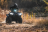 Квадроцикл KAWASAKI Brute Force 750 EPS (2024) (ПСМ)