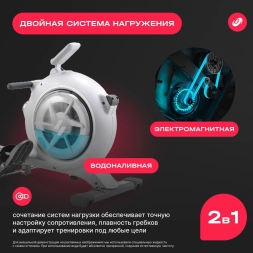 Гребной тренажер домашний SVENSSON BODY LABS WHEELO, фото 14 Гребной тренажер домашний SVENSSON BODY LABS WHEELO, фото 14