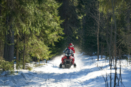 Снегоход OSM SM100, фото 8
