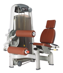 BRONZE GYM A9-13_C Сгибание ног сидя BRONZE GYM A9-13_C Сгибание ног сидя