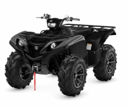 Квадроцикл YAMAHA Grizzly 700 EPS SE (ПСМ), фото 1