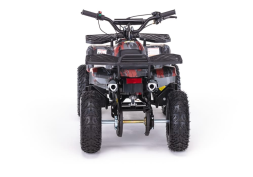 Квадроцикл MOTAX Grizlik X16 (PS), фото 5