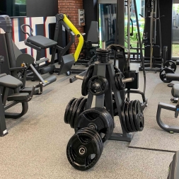 Стойка для дисков PROFI-FIT 1230, нагрузка до 900кг, фото 2 Стойка для дисков PROFI-FIT 1230, нагрузка до 900кг, фото 2