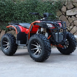 Квадроцикл ZONGSHEN Tundra 4X4 Standart, фото 2
