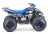 Квадроцикл MOTOLAND 125 Coyote (2021 Г.)