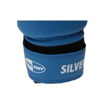 Перчатки боксерские SILVER (к/з синий 12oz) BGS-2039 Перчатки боксерские SILVER (к/з синий 12oz) BGS-2039