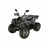 Квадроцикл Avantis HS8 Shark 150 Premium
