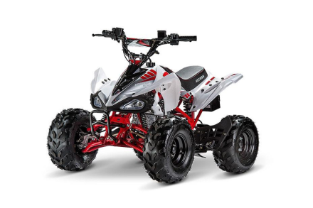 Квадроцикл ACCESS AMS 110 MiniSport, фото 1