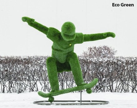 Топиари Скейтер - газон Eco Green, фото 2