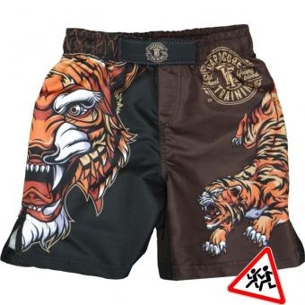 Шорты Hardcore Training hctshorts023, фото 1