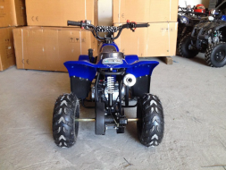 Квадроцикл RAPTOR 110, фото 4