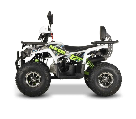 Квадроцикл LINHAI YAMAHA Armour 125 PRO, фото 4