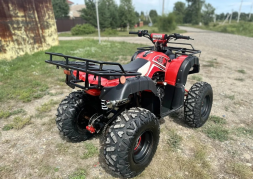 Квадроцикл RAPTOR Madman 200 All, фото 6