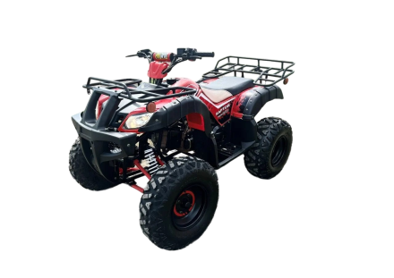 Квадроцикл RAPTOR Madman 200 All, фото 1