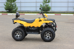 Квадроцикл IRBIS ATV200 Premium, фото 3 Квадроцикл IRBIS ATV200 Premium, фото 3