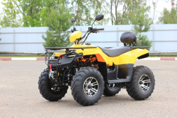 Квадроцикл IRBIS ATV200 Premium, фото 1 Квадроцикл IRBIS ATV200 Premium, фото 1