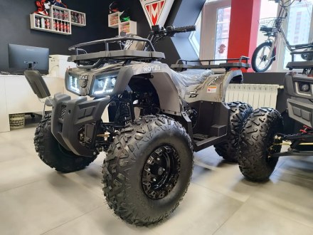 Квадроцикл MOTAX Grizlik T 200, фото 1