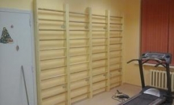 Шведская стенка деревянная из бука EffectSport ДМБ 280х80х14, фото 3 Шведская стенка деревянная из бука EffectSport ДМБ 280х80х14, фото 3
