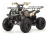 Квадроцикл MOTOLAND 125 Fox A