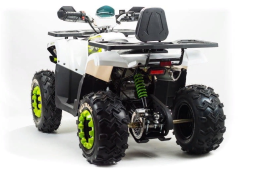 Квадроцикл MOTOLAND ATV 200 Wild Track, фото 2 Квадроцикл MOTOLAND ATV 200 Wild Track, фото 2