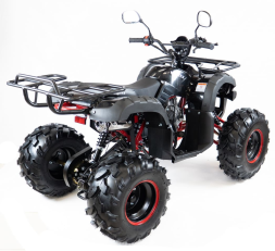 Квадроцикл MOTAX ATV Grizlik-8 125, фото 12