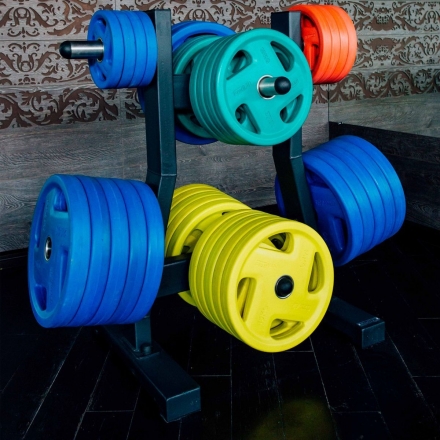 Диск обрезиненный PROFI-FIT цветной FASSION D-51,  1,25 кг, фото 2