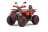 Квадроцикл WELS Thunder Trail 125 PRO