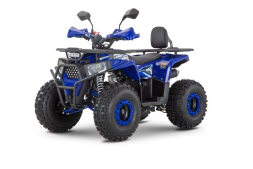 Квадроцикл WELS Thunder Trail 125 PRO, фото 1