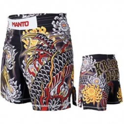 Шорты Manto manshorts089, фото 2 Шорты Manto manshorts089, фото 2