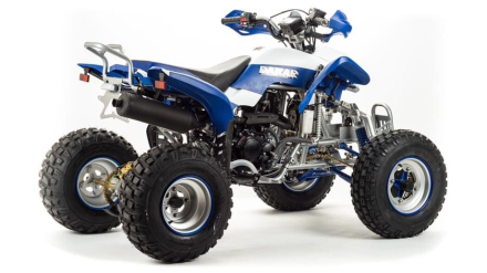 Квадроцикл MOTOLAND 250 Dakar, фото 7