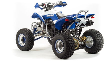 Квадроцикл MOTOLAND 250 Dakar, фото 6
