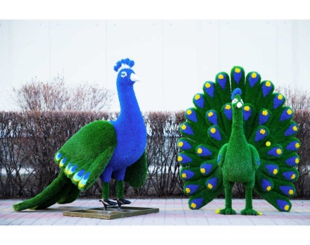 Топиари павлин Григориан, h=155 см - газон Eco, фото 10