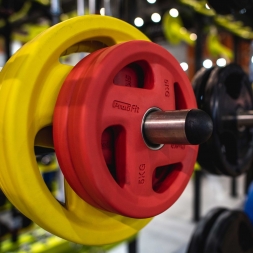 Диск обрезиненный PROFI-FIT цветной FASSION D-51, 5 кг, фото 2 Диск обрезиненный PROFI-FIT цветной FASSION D-51, 5 кг, фото 2