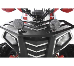Квадроцикл RAPTOR Madman 200, фото 3
