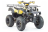 Квадроцикл MOTOLAND 250 Adventure (2021 Г.)