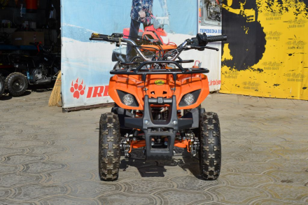 Квадроцикл ATV Target Next, фото 2