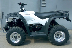 Квадроцикл LINHAI-YAMAHA M150, фото 9