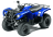 Квадроцикл GRIZZLY 125сс детский
