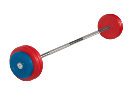 Штанга неразборная "Barbell" с цветными дисками d 25 мм, 30 кг, фото 1