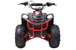 Квадроцикл RAPTOR Dux 8, фото 2