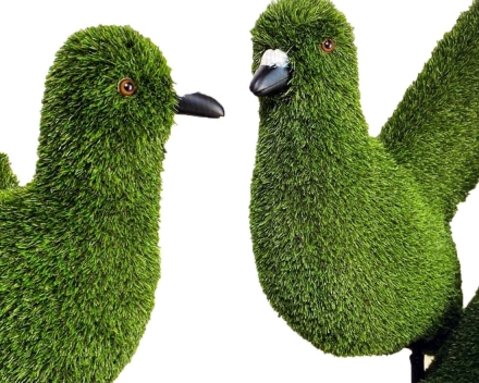Топиари арка сердце с голубями - газон Eco, фото 2