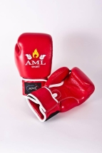 Перчатки боксерские AML Bangkok Перчатки боксерские AML Bangkok