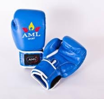 Перчатки боксерские AML Bangkok Перчатки боксерские AML Bangkok
