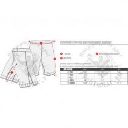 Шорты Hayabusa hayshorts036, фото 3 Шорты Hayabusa hayshorts036, фото 3