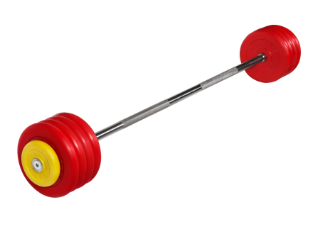 Штанга неразборная "Barbell" с цветными дисками d 25 мм, 47,5 кг, фото 1
