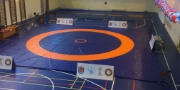 Ковёр борцовский 8х8х0,04 м, эквивалентно пл.160 кг/м3 (ППЭ/НПЭ, трёхцветный) СТП-85, фото 4