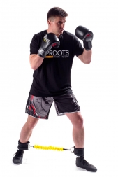 Тренировочная Система SPR Kick, фото 4 Тренировочная Система SPR Kick, фото 4